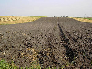 ukraine-soil